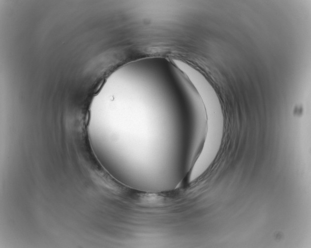 X0000090450380200708102055