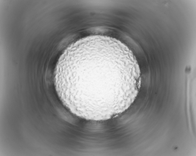 X0000090450381200708102055