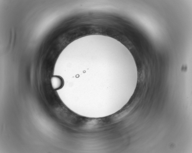 X0000090450382200708102055