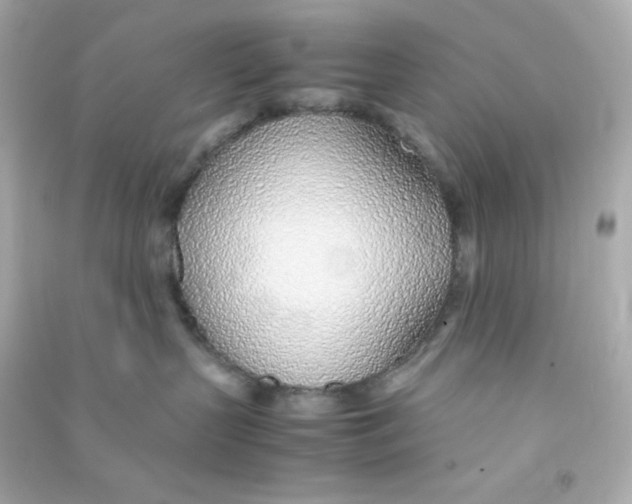 X0000090450383200708102055