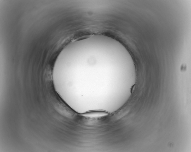 X0000090450384200708102055