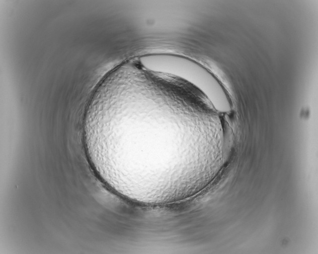 X0000090450385200708102054