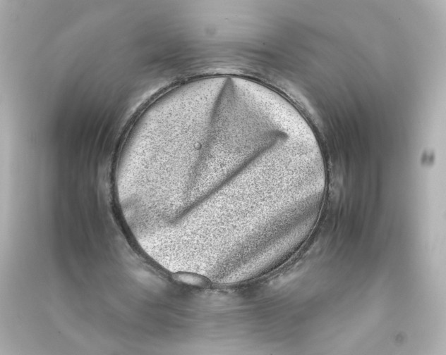 X0000090450386200708102054