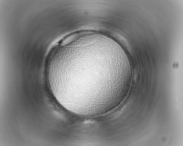 X0000090450388200708102054