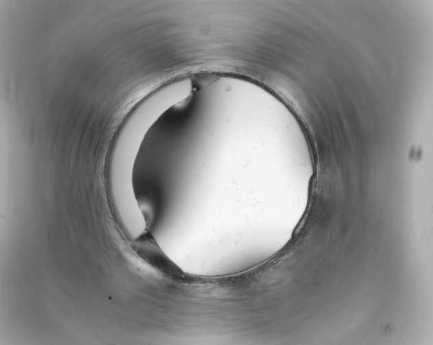 X0000090450389200708102054