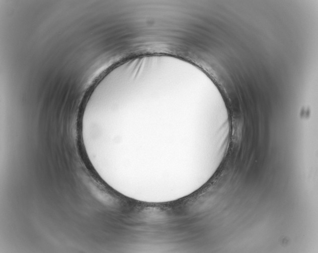 X0000090450390200708102054