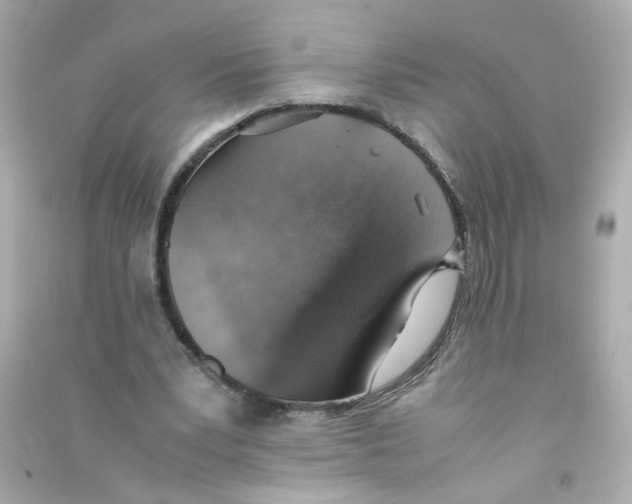 X0000090450391200708102054