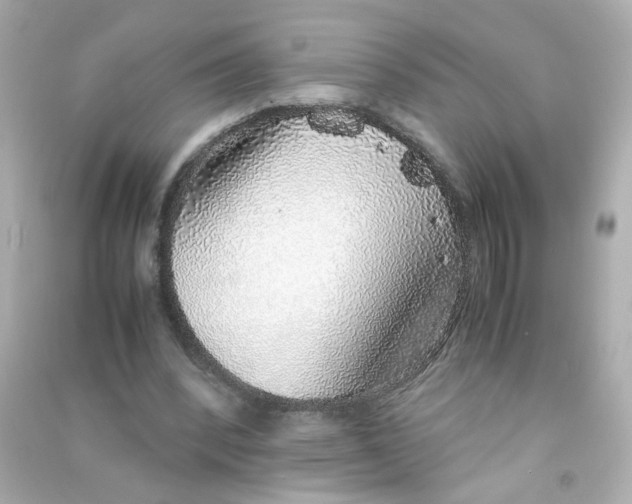 X0000090450392200708102054