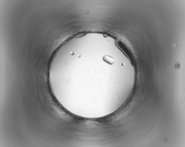 X0000090450393200708102054