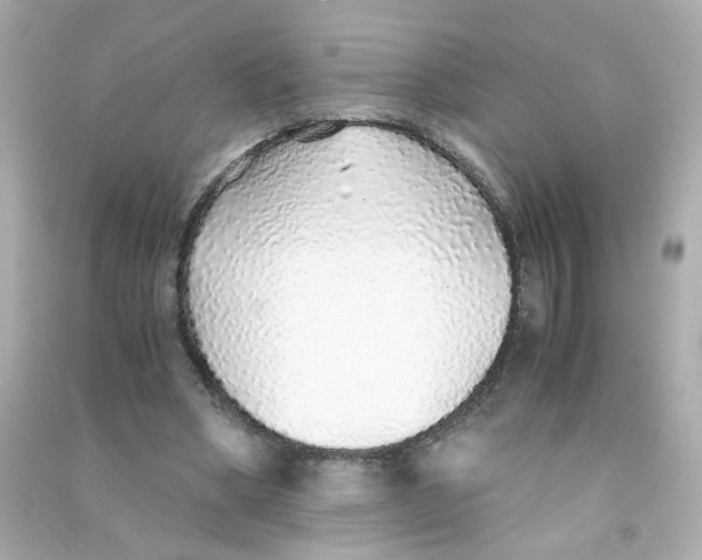 X0000090450394200708102054