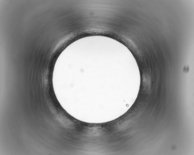 X0000090450396200708102054