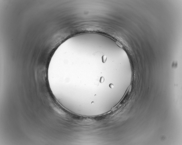 X0000090450397200708102054