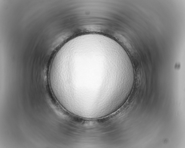 X0000090450398200708102054