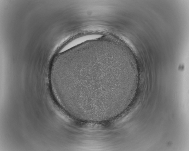 X0000090450399200708102054