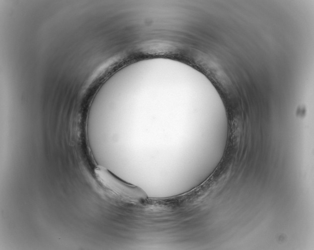 X0000090450400200708102054