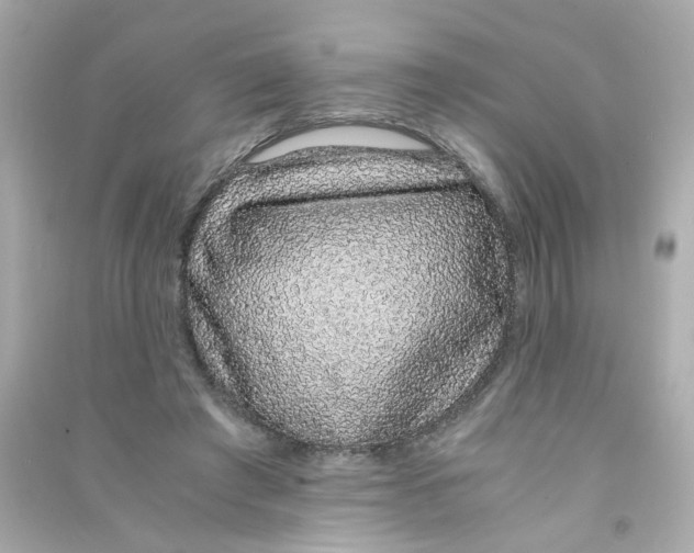 X0000090450401200708102054