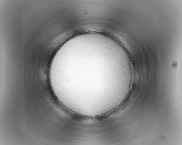 X0000090450402200708102054