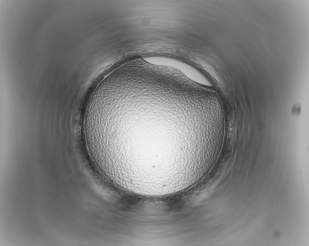 X0000090450403200708102054