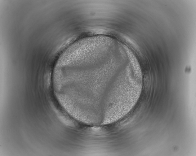 X0000090450406200708102054