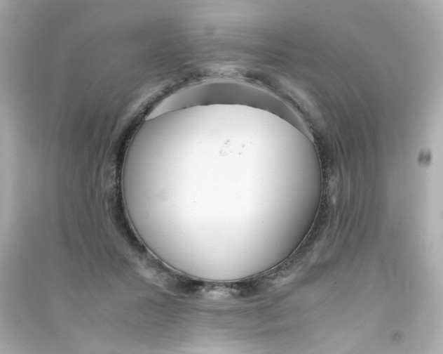 X0000090450407200708102054