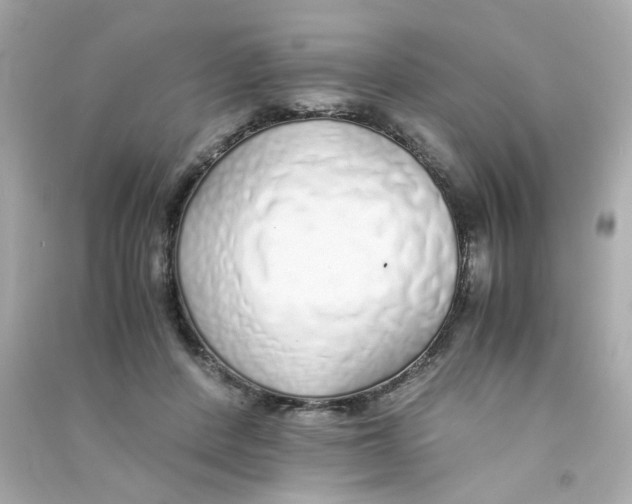 X0000090450408200708102054