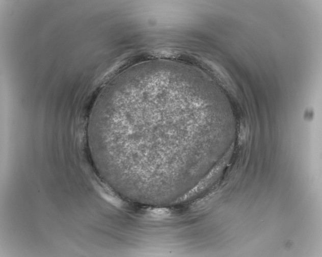 X0000090450409200708102054