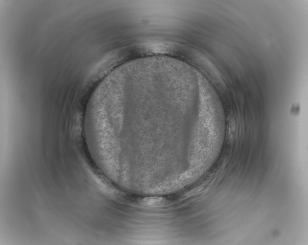 X0000090450410200708102054