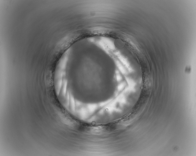 X0000090450411200708102054