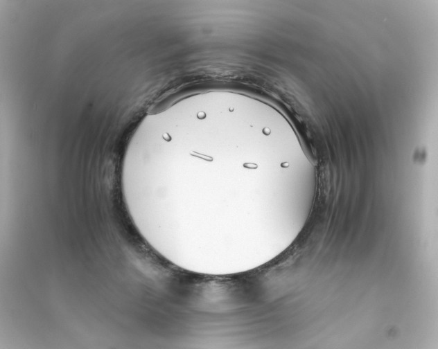 X0000090450412200708102054