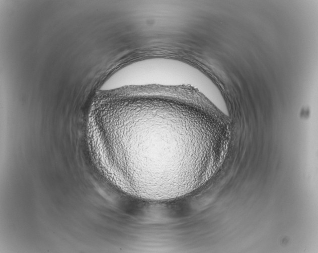 X0000090450413200708102054