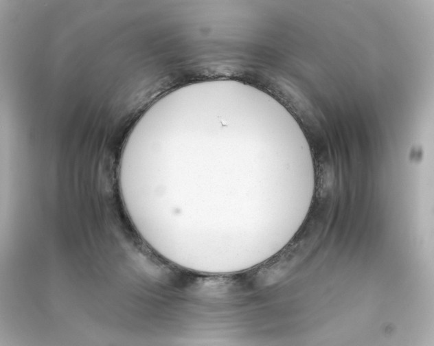 X0000090450414200708102054