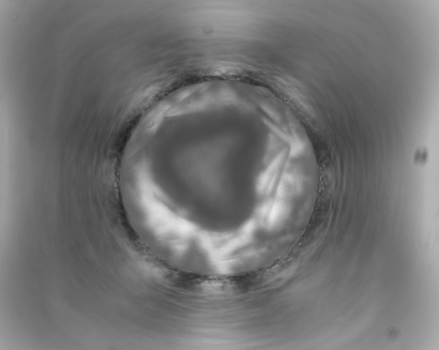 X0000090450415200708102054