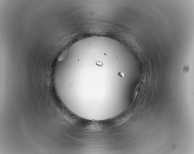 X0000090450416200708102054