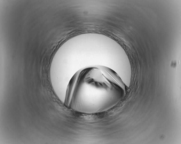 X0000090450417200708102054