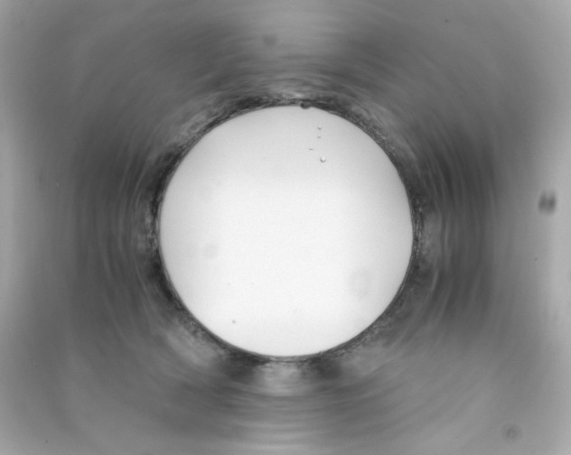 X0000090450418200708102054