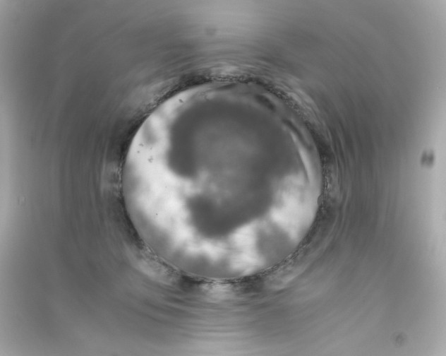 X0000090450419200708102054