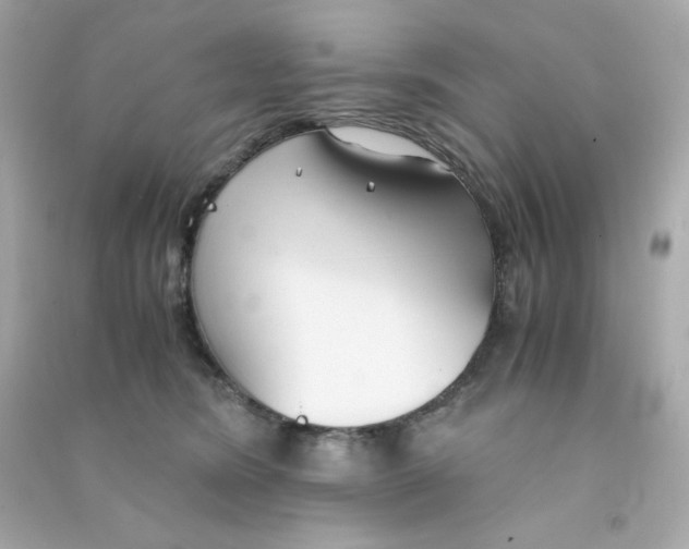 X0000090450420200708102054