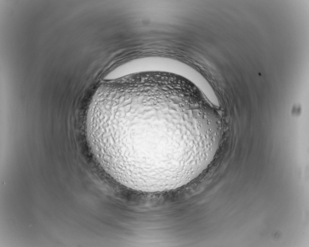 X0000090450421200708102054