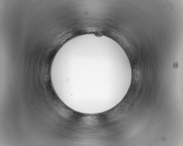 X0000090450422200708102054