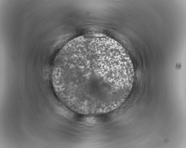 X0000090450423200708102054