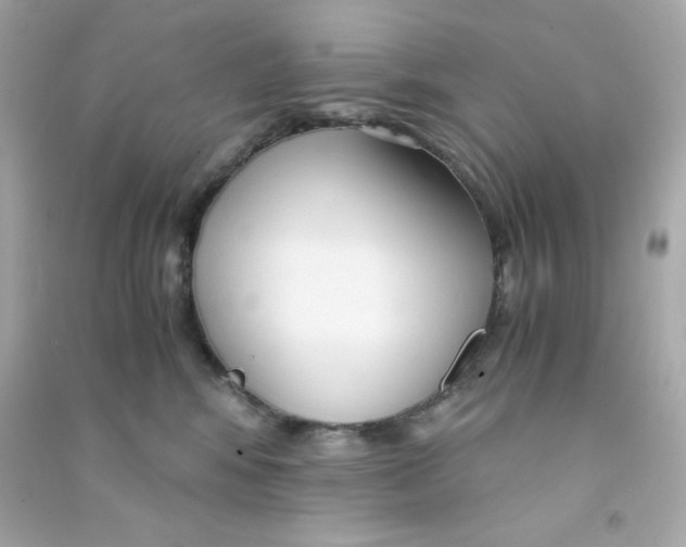 X0000090450424200708102054