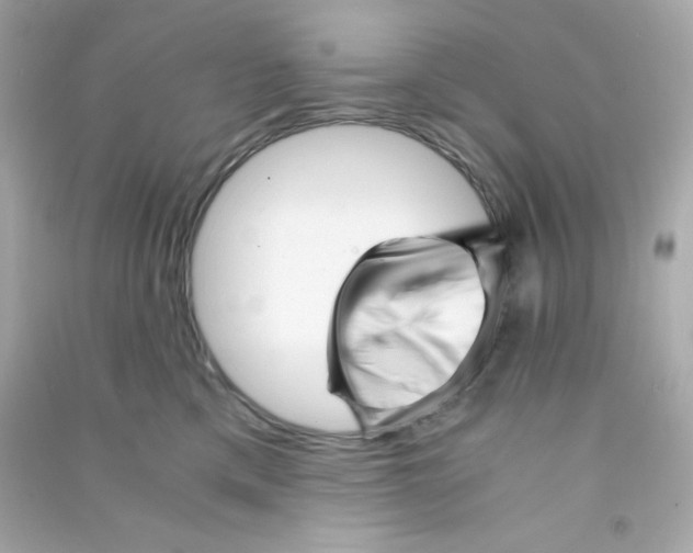 X0000090450425200708102053