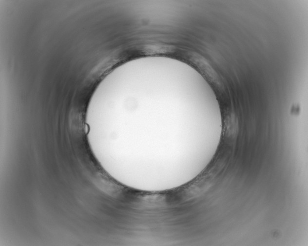 X0000090450426200708102053