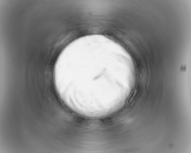 X0000090450427200708102053