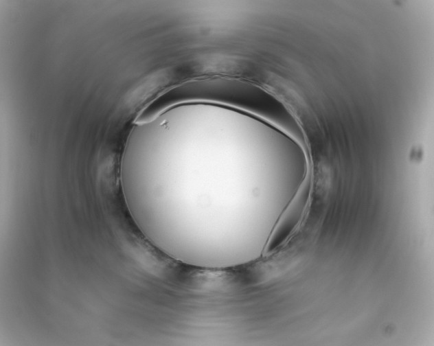 X0000090450428200708102053