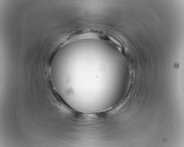 X0000090450429200708102053