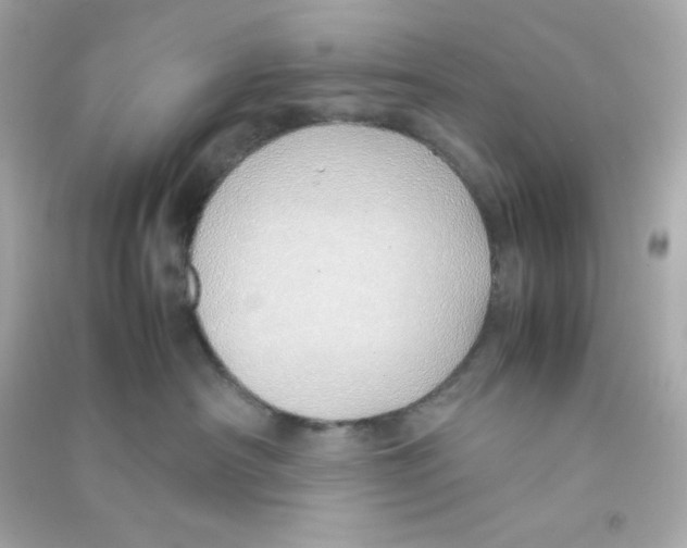 X0000090450430200708102053