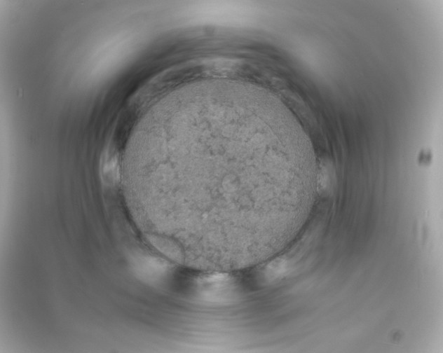 X0000090450431200708102053