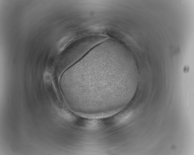 X0000090450432200708102053