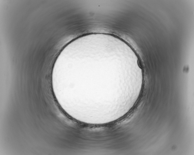 X0000090450433200708102053